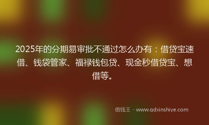 2025年的分期易审批不通过怎么办有：借贷宝速借、钱袋管家、福禄钱包贷、现金秒借贷宝、想借等。