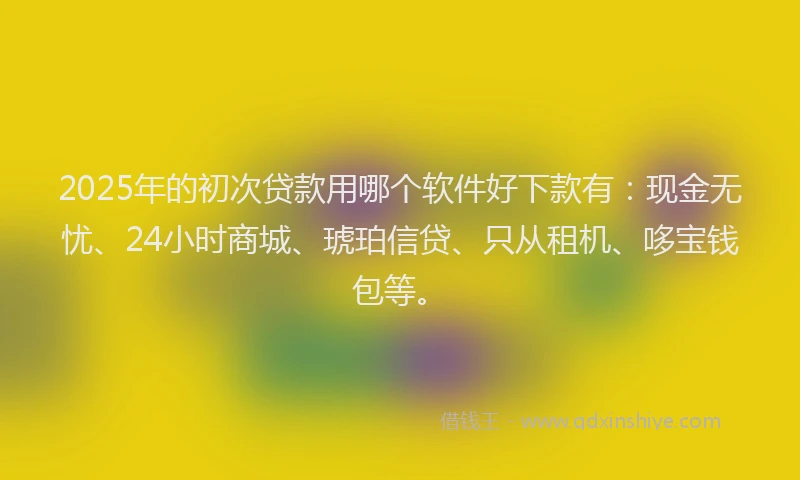 2025年的初次贷款用哪个软件好下款有：现金无忧、24小时商城、琥珀信贷、只从租机、哆宝钱包等。