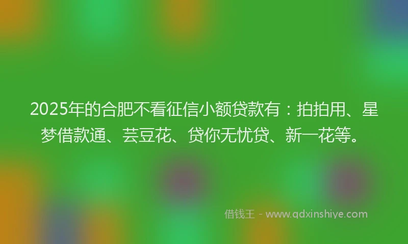 2025年的合肥不看征信小额贷款有：拍拍用、星梦借款通、芸豆花、贷你无忧贷、新一花等。