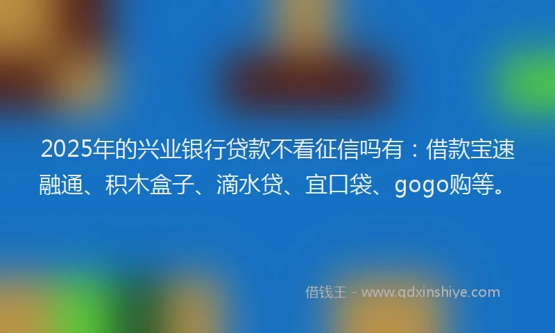 2025年的兴业银行贷款不看征信吗有：借款宝速融通、积木盒子、滴水贷、宜口袋、gogo购等。