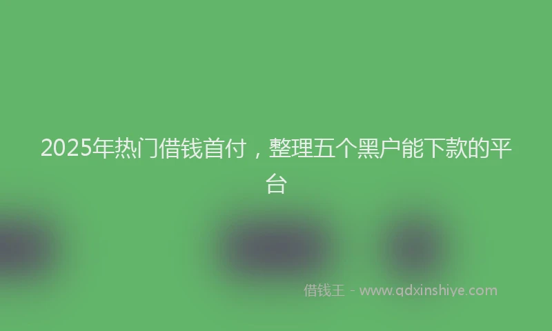 2025年热门借钱首付，整理五个黑户能下款的平台