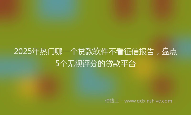 2025年热门哪一个贷款软件不看征信报告，盘点5个无视评分的贷款平台