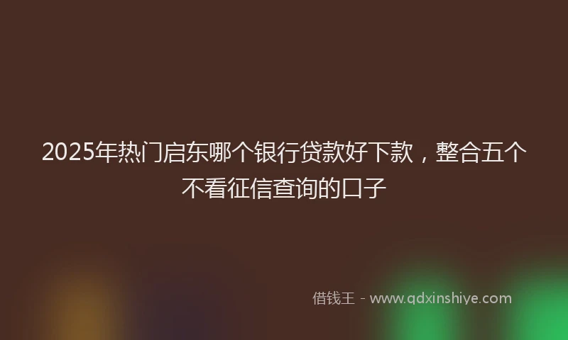 2025年热门启东哪个银行贷款好下款，整合五个不看征信查询的口子