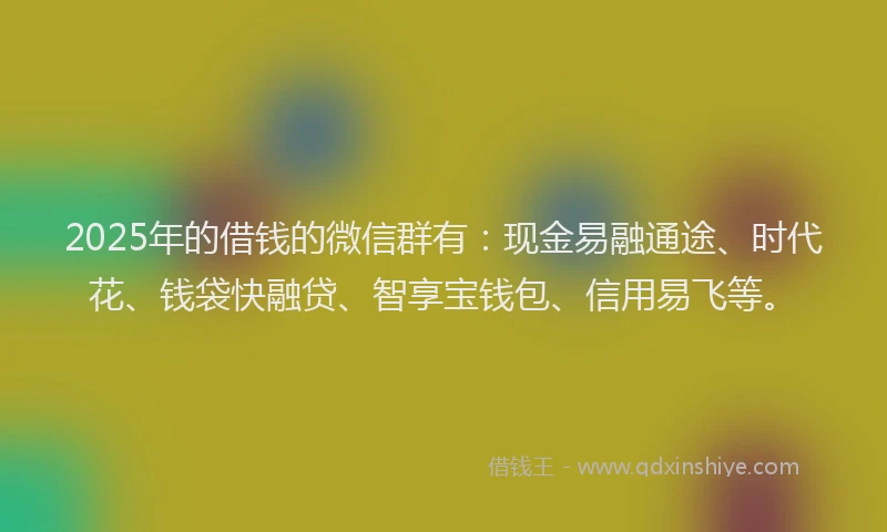 2025年的借钱的微信群有：现金易融通途、时代花、钱袋快融贷、智享宝钱包、信用易飞等。