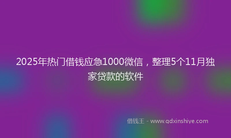 2025年热门借钱应急1000微信，整理5个11月独家贷款的软件