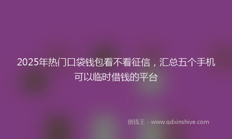 2025年热门口袋钱包看不看征信，汇总五个手机可以临时借钱的平台