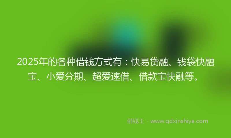 2025年的各种借钱方式有：快易贷融、钱袋快融宝、小爱分期、超爱速借、借款宝快融等。