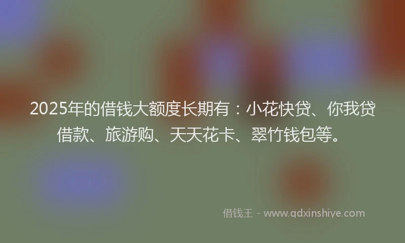 2025年的借钱大额度长期有：小花快贷、你我贷借款、旅游购、天天花卡、翠竹钱包等。