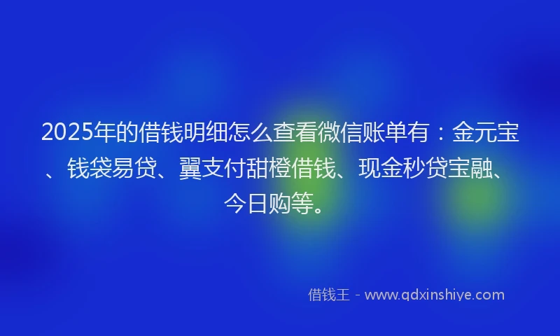2025年的借钱明细怎么查看微信账单有：金元宝、钱袋易贷、翼支付甜橙借钱、现金秒贷宝融、今日购等。