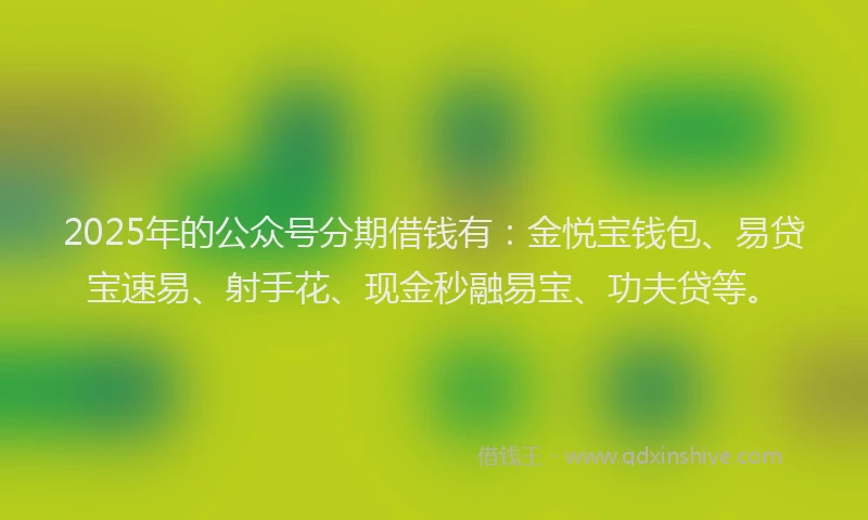 2025年的公众号分期借钱有：金悦宝钱包、易贷宝速易、射手花、现金秒融易宝、功夫贷等。