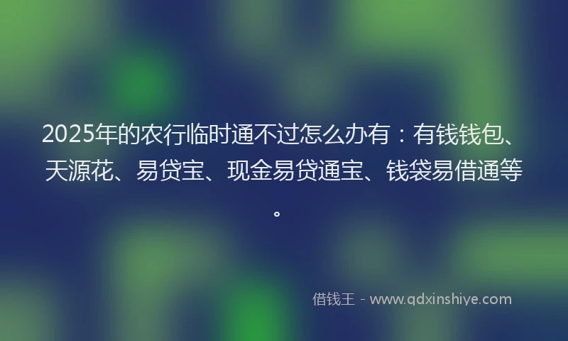 2025年的农行临时通不过怎么办有：有钱钱包、天源花、易贷宝、现金易贷通宝、钱袋易借通等。