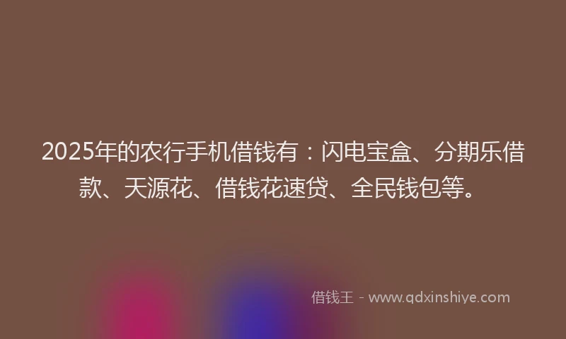 2025年的农行手机借钱有：闪电宝盒、分期乐借款、天源花、借钱花速贷、全民钱包等。