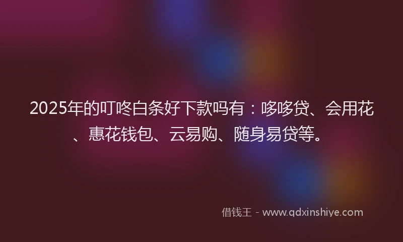 2025年的叮咚白条好下款吗有：哆哆贷、会用花、惠花钱包、云易购、随身易贷等。