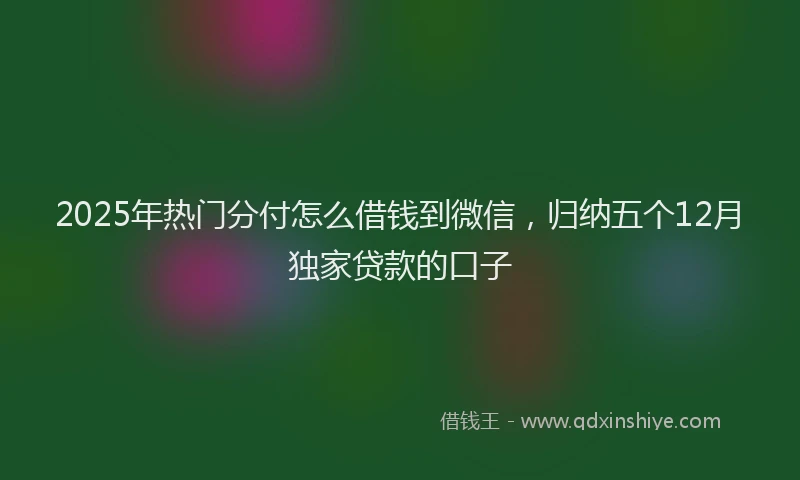 2025年热门分付怎么借钱到微信，归纳五个12月独家贷款的口子