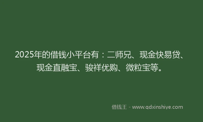 2025年的借钱小平台有：二师兄、现金快易贷、现金直融宝、骏祥优购、微粒宝等。