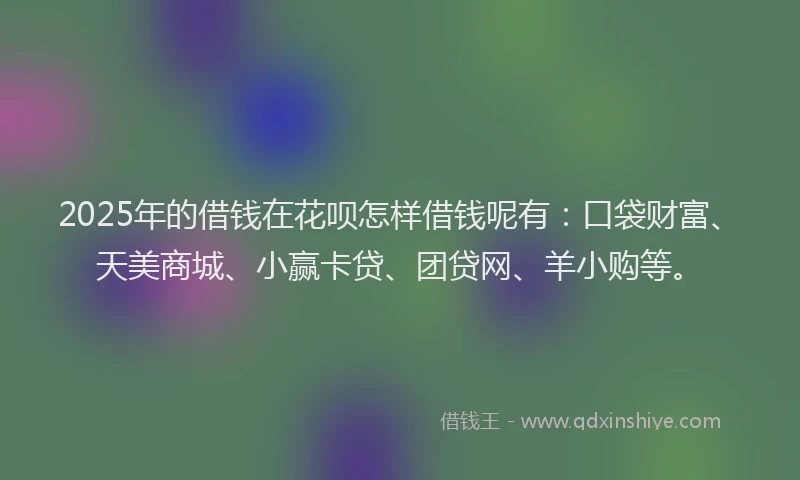 2025年的借钱在花呗怎样借钱呢有：口袋财富、天美商城、小赢卡贷、团贷网、羊小购等。