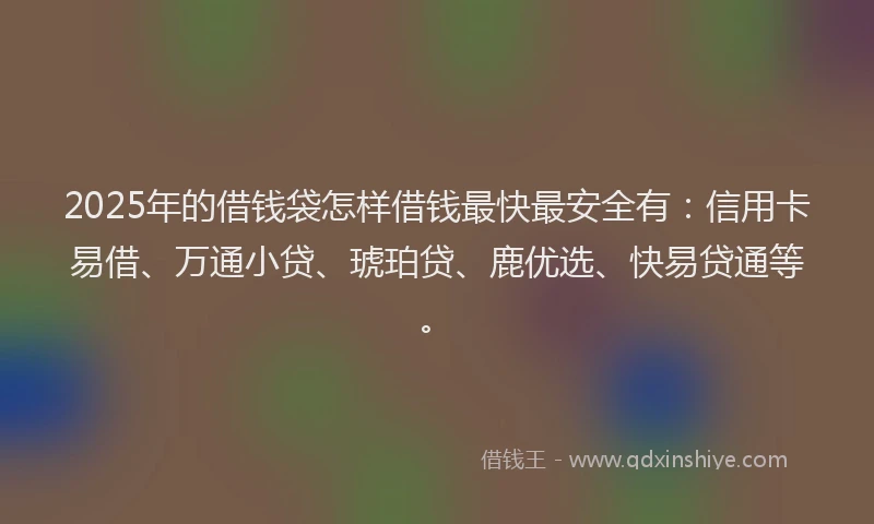 2025年的借钱袋怎样借钱最快最安全有：信用卡易借、万通小贷、琥珀贷、鹿优选、快易贷通等。