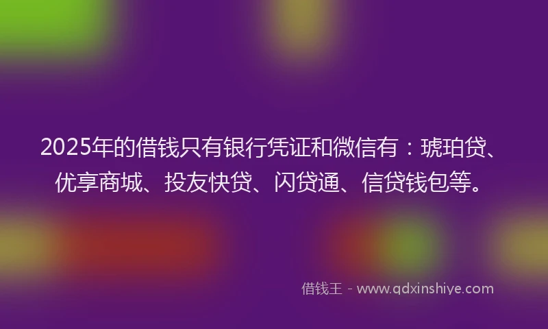 2025年的借钱只有银行凭证和微信有：琥珀贷、优享商城、投友快贷、闪贷通、信贷钱包等。