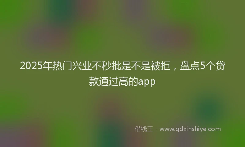 2025年热门兴业不秒批是不是被拒，盘点5个贷款通过高的app
