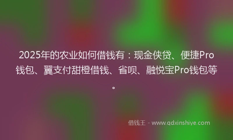 2025年的农业如何借钱有：现金侠贷、便捷Pro钱包、翼支付甜橙借钱、省呗、融悦宝Pro钱包等。