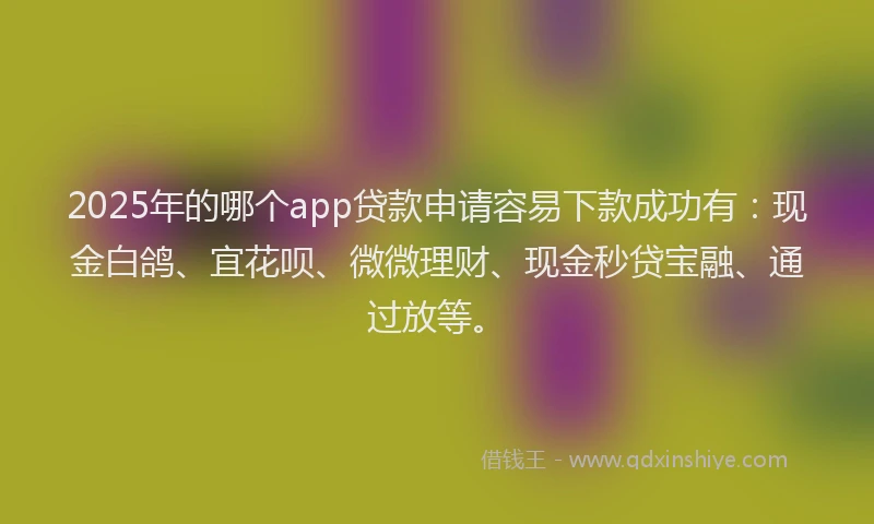 2025年的哪个app贷款申请容易下款成功有：现金白鸽、宜花呗、微微理财、现金秒贷宝融、通过放等。