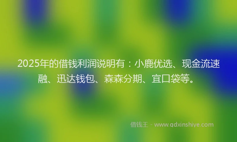 2025年的借钱利润说明有：小鹿优选、现金流速融、迅达钱包、森森分期、宜口袋等。