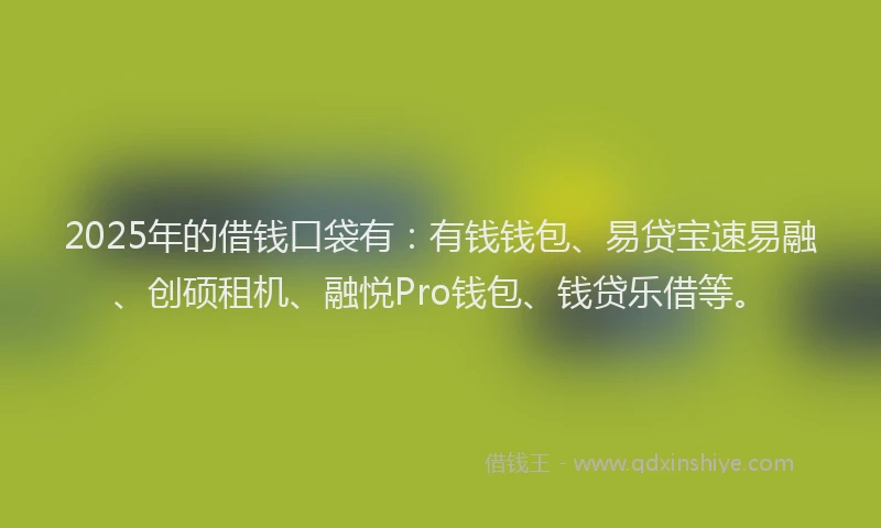 2025年的借钱口袋有：有钱钱包、易贷宝速易融、创硕租机、融悦Pro钱包、钱贷乐借等。