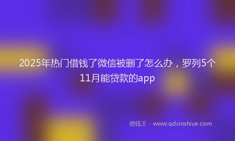 2025年热门借钱了微信被删了怎么办，罗列5个11月能贷款的app
