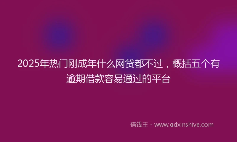 2025年热门刚成年什么网贷都不过，概括五个有逾期借款容易通过的平台