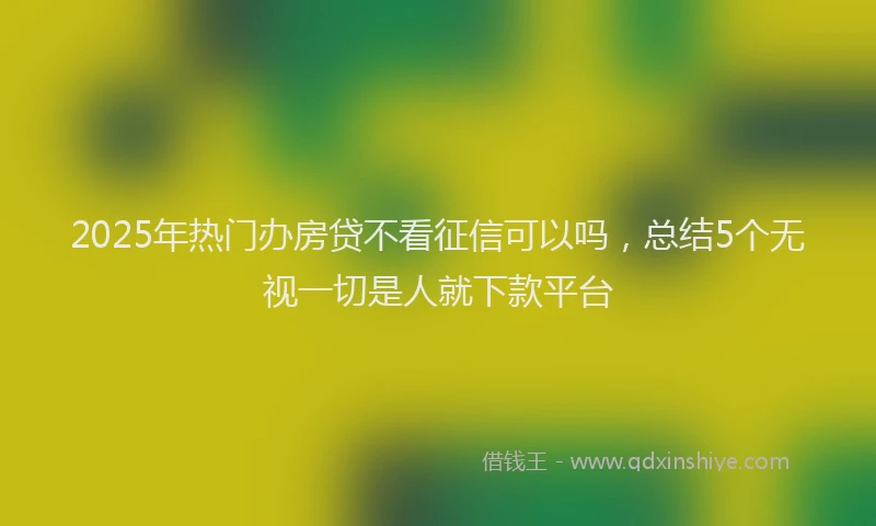 2025年热门办房贷不看征信可以吗，总结5个无视一切是人就下款平台