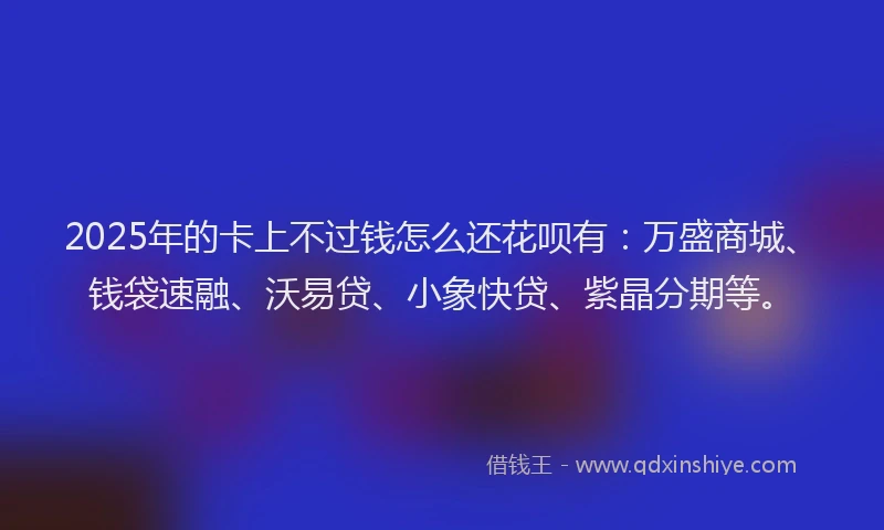 2025年的卡上不过钱怎么还花呗有：万盛商城、钱袋速融、沃易贷、小象快贷、紫晶分期等。