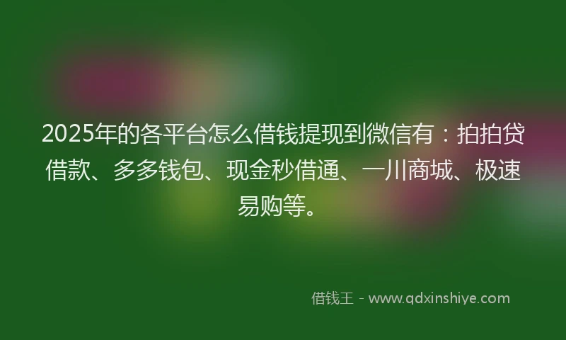 2025年的各平台怎么借钱提现到微信有：拍拍贷借款、多多钱包、现金秒借通、一川商城、极速易购等。