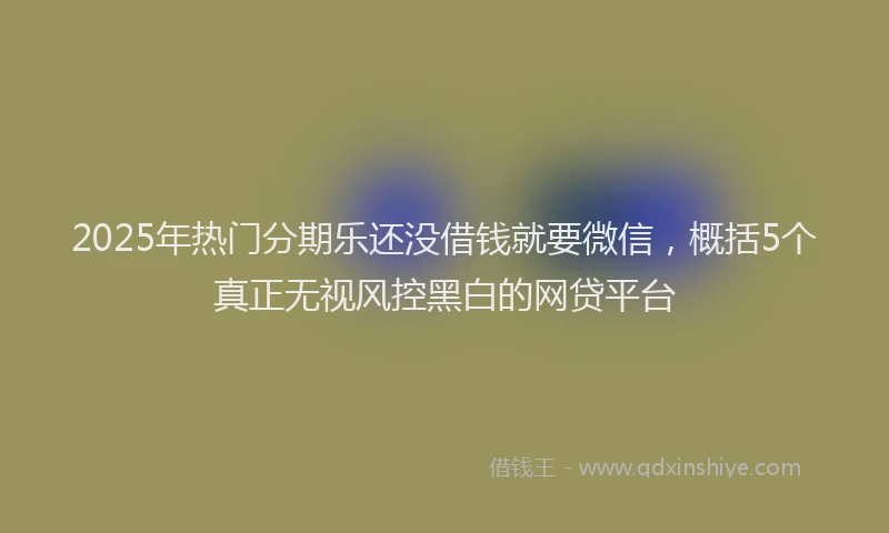 2025年热门分期乐还没借钱就要微信，概括5个真正无视风控黑白的网贷平台