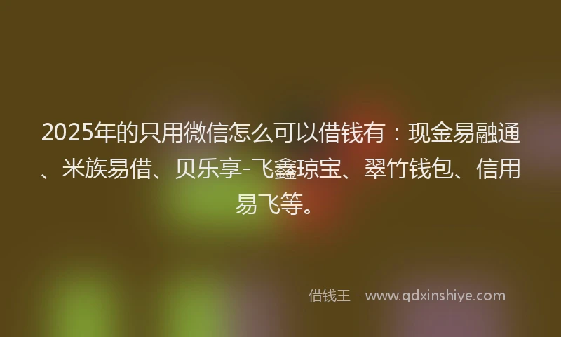 2025年的只用微信怎么可以借钱有：现金易融通、米族易借、贝乐享-飞鑫琼宝、翠竹钱包、信用易飞等。