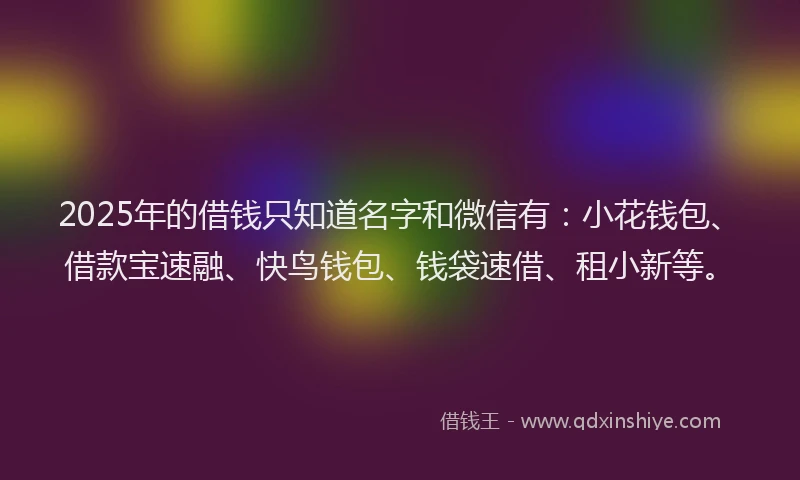 2025年的借钱只知道名字和微信有：小花钱包、借款宝速融、快鸟钱包、钱袋速借、租小新等。