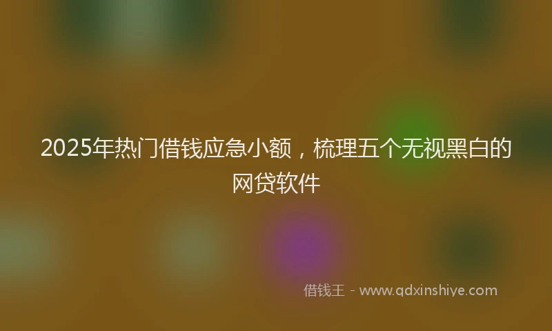 2025年热门借钱应急小额，梳理五个无视黑白的网贷软件
