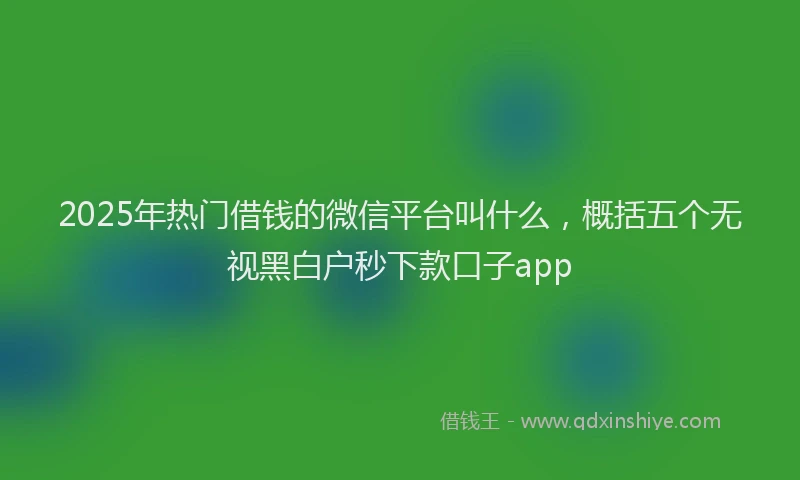 2025年热门借钱的微信平台叫什么，概括五个无视黑白户秒下款口子app
