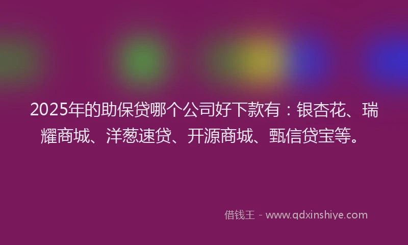 2025年的助保贷哪个公司好下款有：银杏花、瑞耀商城、洋葱速贷、开源商城、甄信贷宝等。