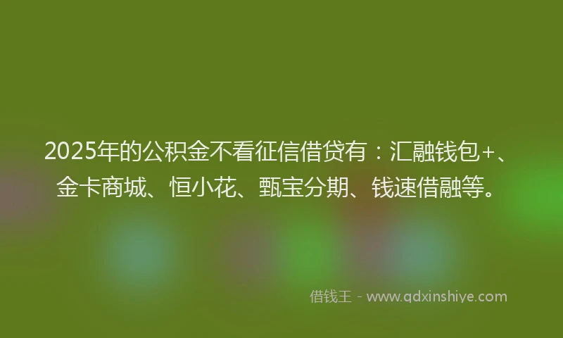 2025年的公积金不看征信借贷有：汇融钱包+、金卡商城、恒小花、甄宝分期、钱速借融等。