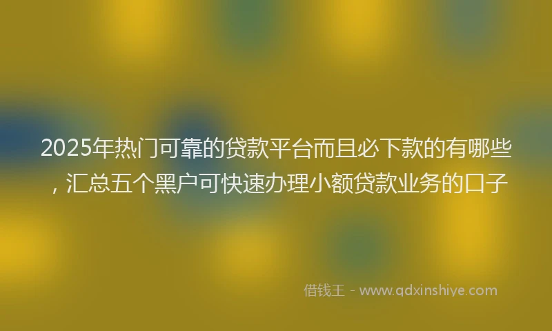 2025年热门可靠的贷款平台而且必下款的有哪些，汇总五个黑户可快速办理小额贷款业务的口子