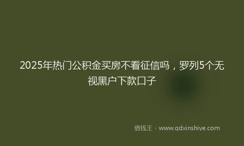 2025年热门公积金买房不看征信吗，罗列5个无视黑户下款口子