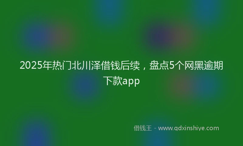 2025年热门北川泽借钱后续，盘点5个网黑逾期下款app