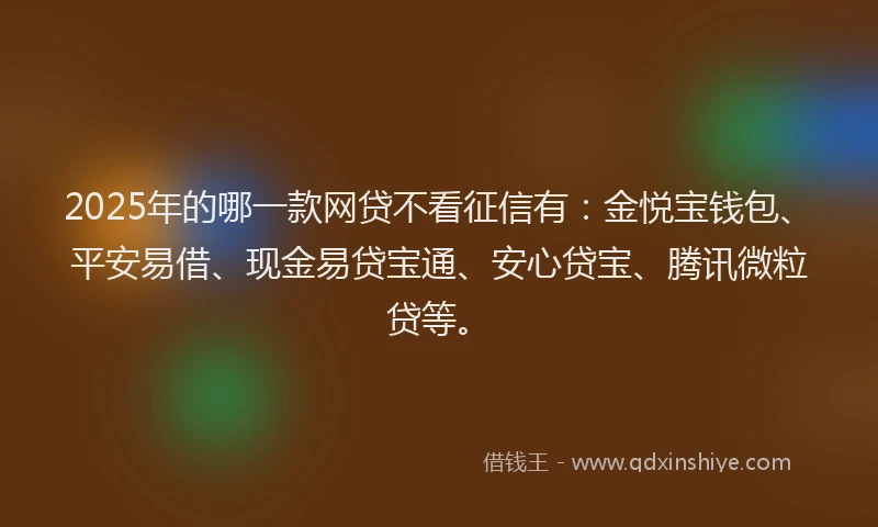2025年的哪一款网贷不看征信有：金悦宝钱包、平安易借、现金易贷宝通、安心贷宝、腾讯微粒贷等。