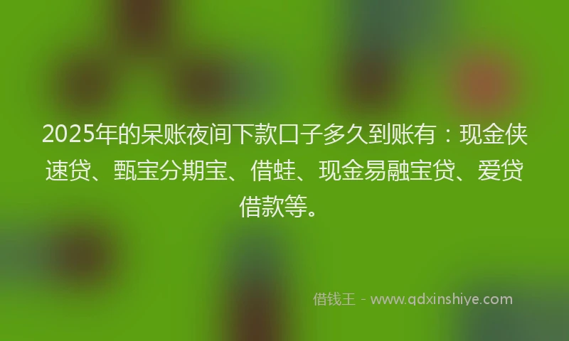 2025年的呆账夜间下款口子多久到账有：现金侠速贷、甄宝分期宝、借蛙、现金易融宝贷、爱贷借款等。