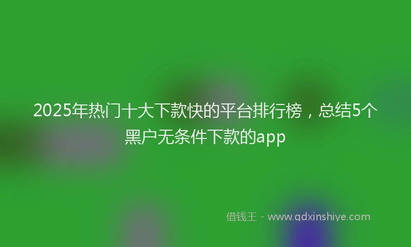 2025年热门十大下款快的平台排行榜，总结5个黑户无条件下款的app