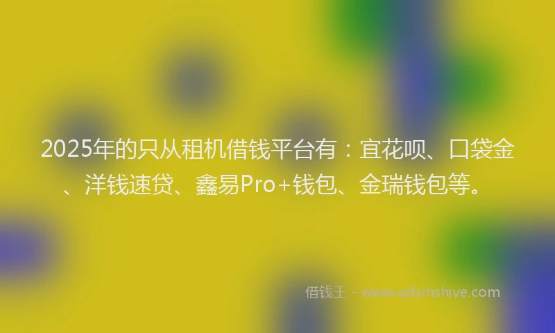 2025年的只从租机借钱平台有：宜花呗、口袋金、洋钱速贷、鑫易Pro+钱包、金瑞钱包等。