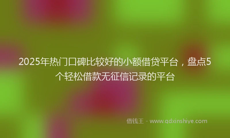 2025年热门口碑比较好的小额借贷平台，盘点5个轻松借款无征信记录的平台