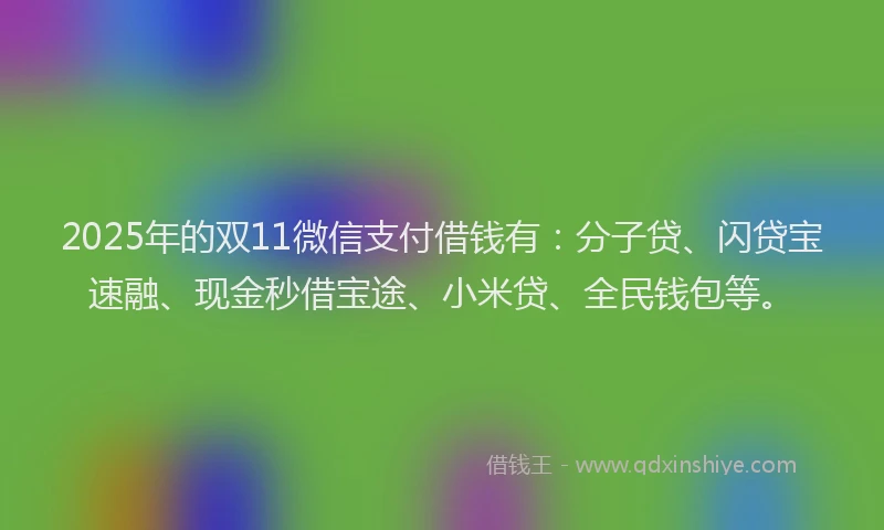 2025年的双11微信支付借钱有：分子贷、闪贷宝速融、现金秒借宝途、小米贷、全民钱包等。