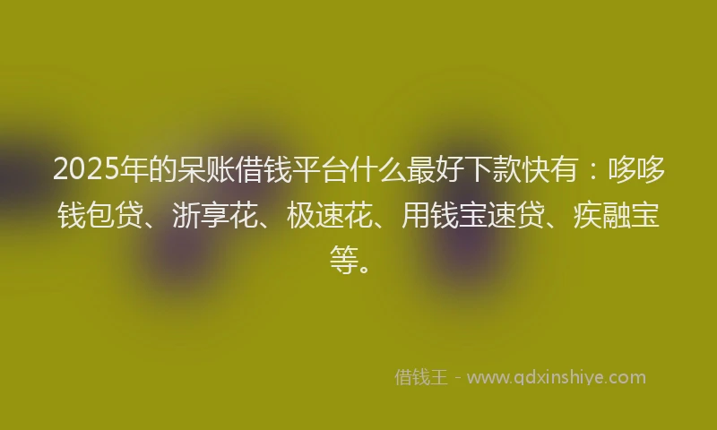 2025年的呆账借钱平台什么最好下款快有：哆哆钱包贷、浙享花、极速花、用钱宝速贷、疾融宝等。