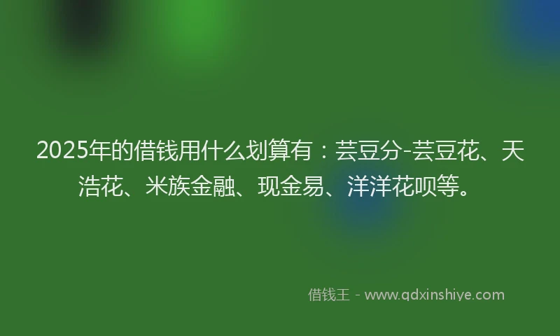 2025年的借钱用什么划算有：芸豆分-芸豆花、天浩花、米族金融、现金易、洋洋花呗等。